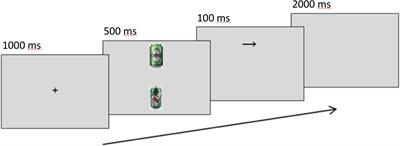 A Neurophysiological and Behavioral Assessment of Interventions Targeting Attention Bias and Sense of Control in Binge Drinking